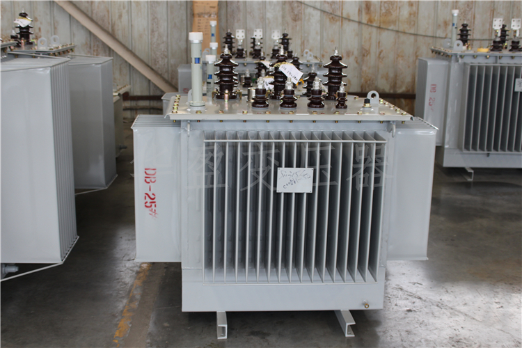 丹东S20-800kVA/10kV/0.4kV变压器